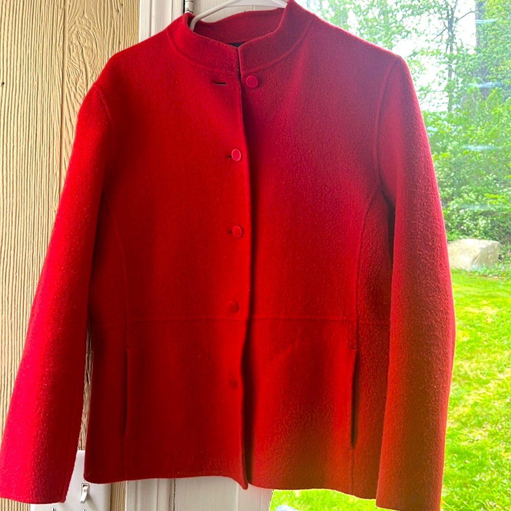 Eileen Fisher warm dress coat